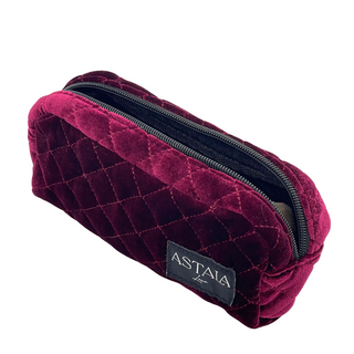 Sacred Mini Case