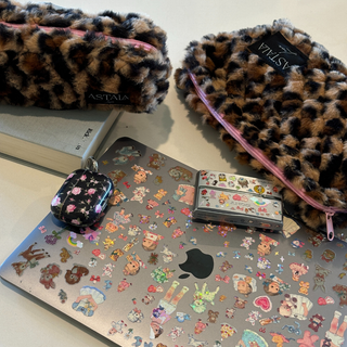 Saskia Mini Case