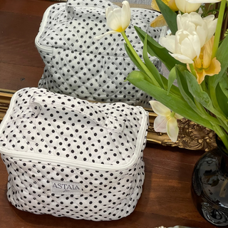 Penelope Vanity Case